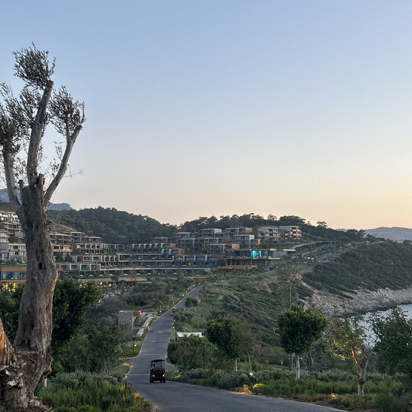 SCORPIOS BODRUM